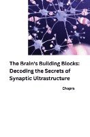 bokomslag The Brain's Building Blocks: Decoding the Secrets of Synaptic Ultrastructure