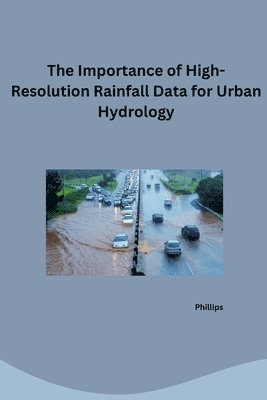 bokomslag The Challenge of Time: Finding High-Resolution Rainfall Data for Urban Areas