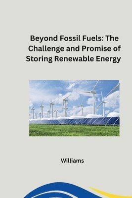 bokomslag Beyond Fossil Fuels: The Challenge and Promise of Storing Renewable Energy