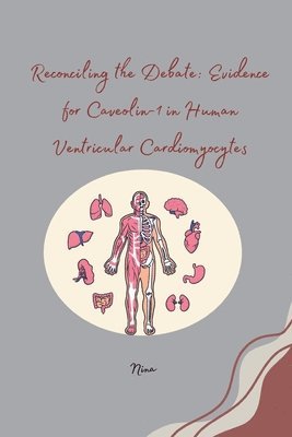 bokomslag Reconciling the Debate: Evidence for Caveolin-1 in Human Ventricular Cardiomyocytes