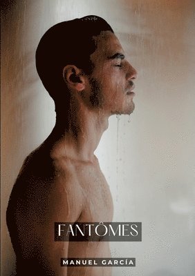 bokomslag Fantômes: Histoires Érotiques Gay de Sexe Explicite - French Gay Stories for Men