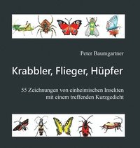 bokomslag Krabbler, Flieger, Hüpfer - 55 einheimische Insekten: Ein Geschenkbuch für Tier- und Naturfreunde