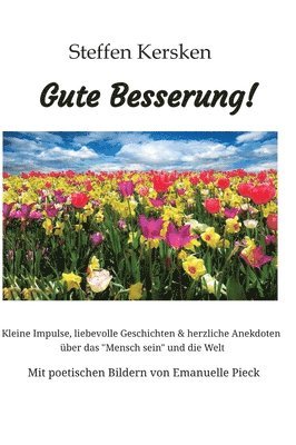 bokomslag Gute Besserung - Steffen Kersken - 2023: Kleine Impulse, liebevolle Geschichten & herzliche Anekdoten über das "Mensch sein" und die Welt- Mit poetisc