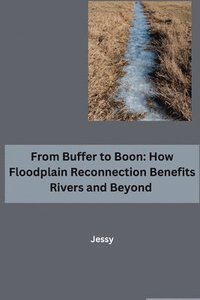 bokomslag From Buffer to Boon: How Floodplain Reconnection Benefits Rivers and Beyond
