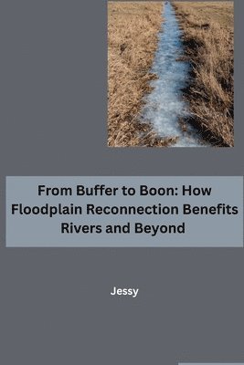 bokomslag From Buffer to Boon: How Floodplain Reconnection Benefits Rivers and Beyond