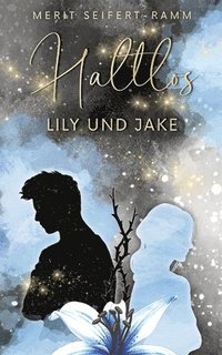 bokomslag Haltlos - Lily und Jake: Young Adult Romance