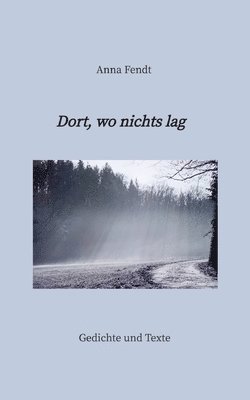 bokomslag Dort, wo nichts lag