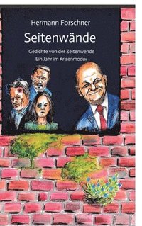 bokomslag Seitenwände: Gedichte von der Zeitenwende - Ein Jahr im Krisenmodus