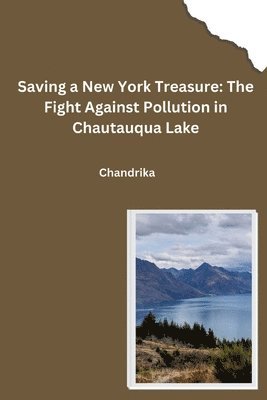 bokomslag Saving a New York Treasure: The Fight Against Pollution in Chautauqua Lake