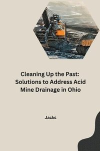 bokomslag Cleaning Up the Past: Solutions to Address Acid Mine Drainage in Ohio