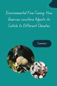 bokomslag Environmental Fine-Tuning: How Quercus coccifera Adjusts its Cuticle to Different Climates