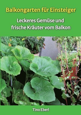 bokomslag Balkongarten für Einsteiger - Erfahrungen und Tipps aus vielen Jahren Balkongärtnerei