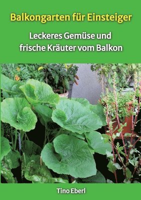 bokomslag Balkongarten für Einsteiger - Erfahrungen und Tipps aus vielen Jahren Balkongärtnerei: Leckeres Gemüse und frische Kräuter vom Balkon - passend dazu R