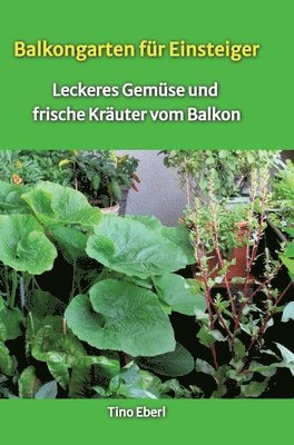 Balkongarten für Einsteiger - Erfahrungen und Tipps aus vielen Jahren Balkongärtnerei: Leckeres Gemüse und frische Kräuter vom Balkon - passend dazu R 1