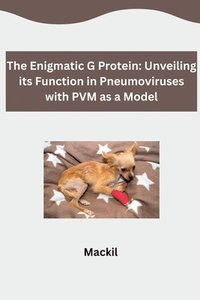 bokomslag The Enigmatic G Protein: Unveiling its Function in Pneumoviruses with PVM as a Model