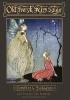 bokomslag Alte Französische Märchen: Old French Fairy Tales