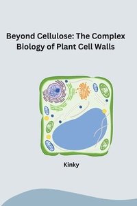 bokomslag Beyond Cellulose: The Complex Biology of Plant Cell Walls