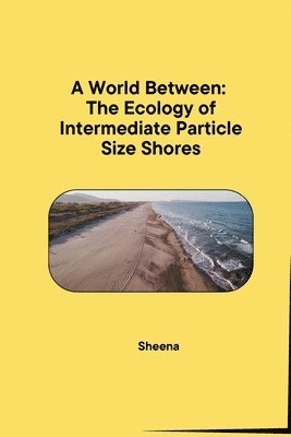 bokomslag A World Between: The Ecology of Intermediate Particle Size Shores