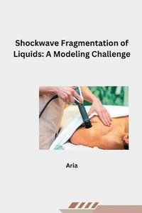 bokomslag Shockwave Fragmentation of Liquids: A Modeling Challenge