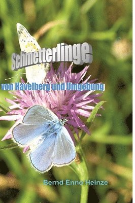 bokomslag Schmetterlinge von Havelberg und Umgebung