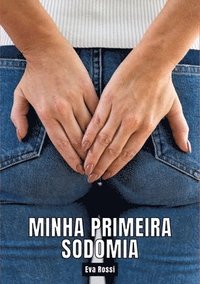 bokomslag Minha primeira sodomia: Contos de Sexo Explícito para Adultos