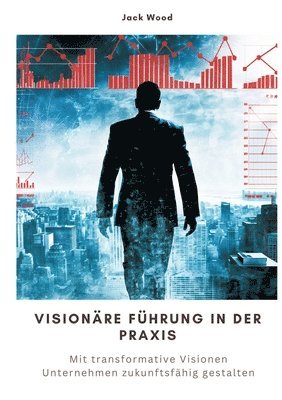 bokomslag Visionäre Führung in der Praxis: Mit transformative Visionen Unternehmen zukunftsfähig gestalten