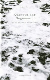 bokomslag Quantum der Gegenwart