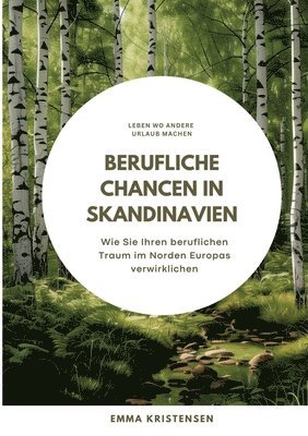 bokomslag Berufliche Chancen in Skandinavien