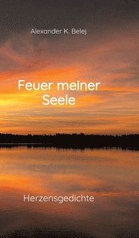 bokomslag Feuer meiner Seele: Herzensgedichte geprägt von Sehnsucht, Liebe und Hoffnung