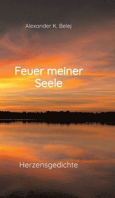 bokomslag Feuer meiner Seele: Herzensgedichte geprägt von Sehnsucht, Liebe und Hoffnung