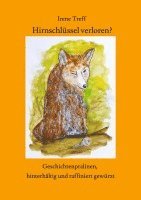 bokomslag Hirnschlüssel verloren?  Spannende und unterhaltsame Kurzgeschichten