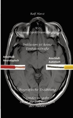 bokomslag ASS Autismus-Spektrums-Segnung - Inklusion ist keine Einbahnstraße: hochfunktionaler Autismus, Mobbing, Trauma, Sucht, Häusliche Gewalt, Psychotherapi