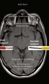 bokomslag ASS Autismus-Spektrums-Segnung - Inklusion ist keine Einbahnstraße: hochfunktionaler Autismus, Mobbing, Trauma, Sucht, Häusliche Gewalt, Psychotherapi