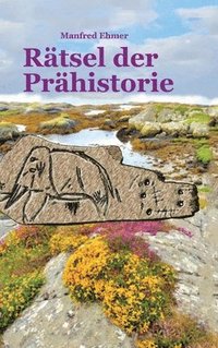 bokomslag Rätsel der Prähistorie
