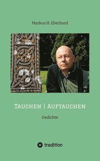 bokomslag Tauchen I Auftauchen: Gedichte