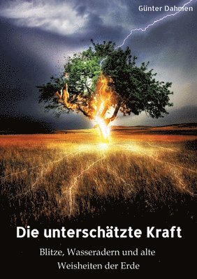Günter Dahmen - Die unterschätzte Kraft: Blitze, Wasseradern und alte Weisheiten der Erde, Häftad