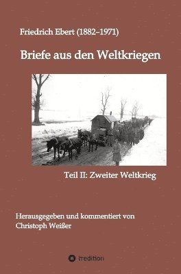 bokomslag Briefe aus den Weltkriegen
