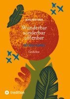 bokomslag Wunderbar - sonderbar - offenbar