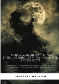 bokomslag Die Reise zur Erleuchtung  Freimaurerische Prüfungen in der Zauberflöte