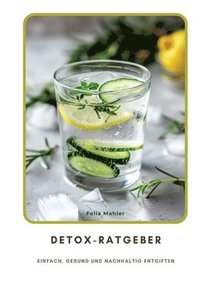 bokomslag Detox-Ratgeber: Einfach, gesund und nachhaltig entgiften