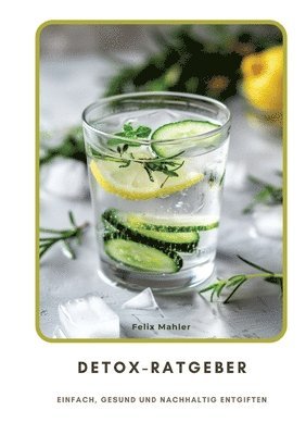 bokomslag Detox-Ratgeber: Einfach, gesund und nachhaltig entgiften