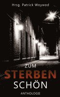 bokomslag Zum Sterben schön