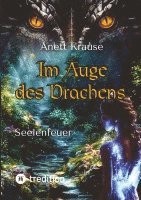 Anett Krause - Im Auge des Drachens, Häftad