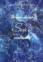Lea-Sophie Schwarzat - Wenn deine Seele zerbricht, Inbunden