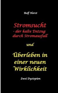 bokomslag Stromsucht - der kalte Entzug durch Stromausfall und berleben in einer neuen Wirklichkeit