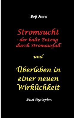 Rolf Horst - Stromsucht - der kalte Entzug durch Stromausfall und Überleben in einer neuen Wirklichkeit, Häftad