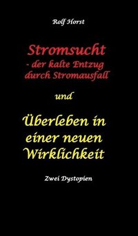 bokomslag Stromsucht - der kalte Entzug durch Stromausfall und berleben in einer neuen Wirklichkeit