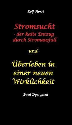 Rolf Horst - Stromsucht - der kalte Entzug durch Stromausfall und Überleben in einer neuen Wirklichkeit, Inbunden