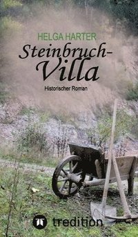 bokomslag Steinbruchvilla