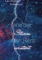 bokomslag Wie der Sturm dein Herz zerstört